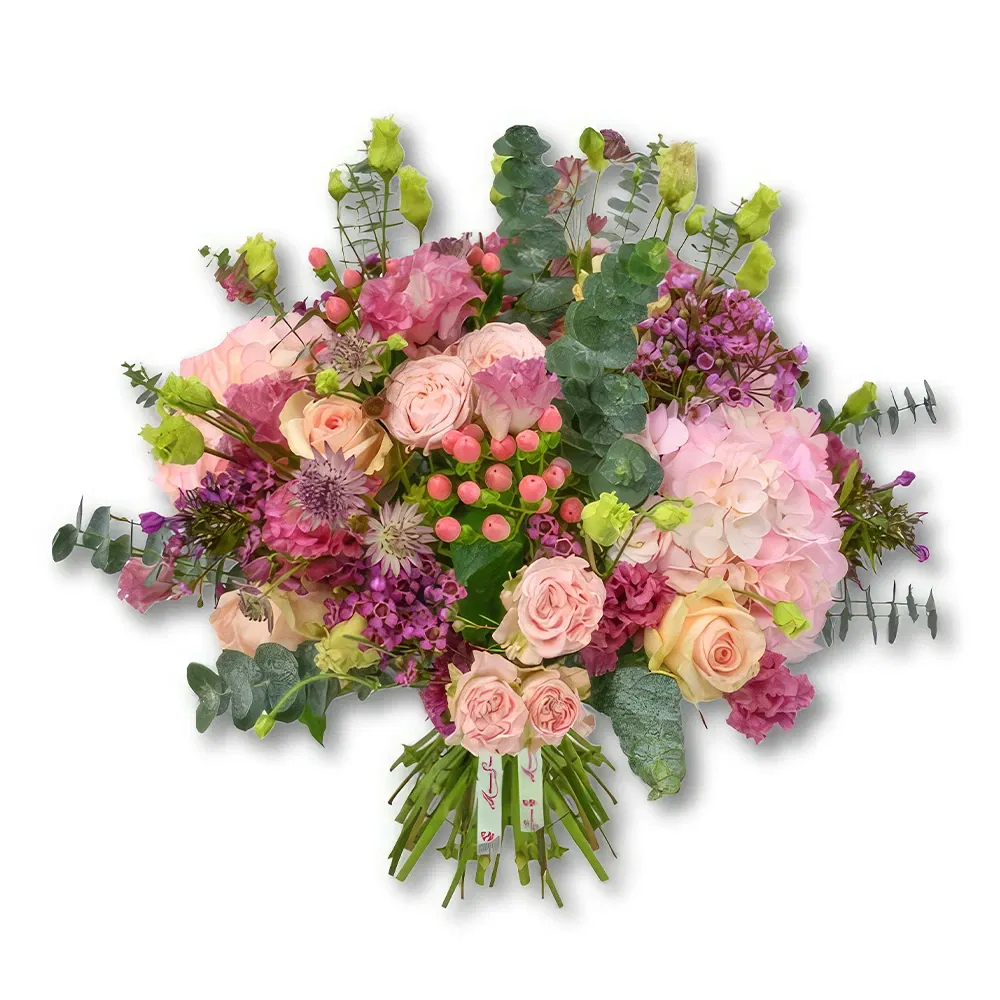 Dubai blommor- Hortensior och Hypericum i full blom