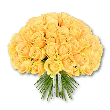 Garhoud flowers  -  Warm Peach Blooms for Special Moments Flower Bouquet/Arrangement