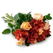 Maipu online Florist - Bouquet of Roses and Astromelia in Pink Tones Bouquet