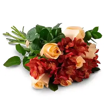 Malalhue flowers  -  Bouquet of Roses and Astromelia in Pink Tones Flower Delivery