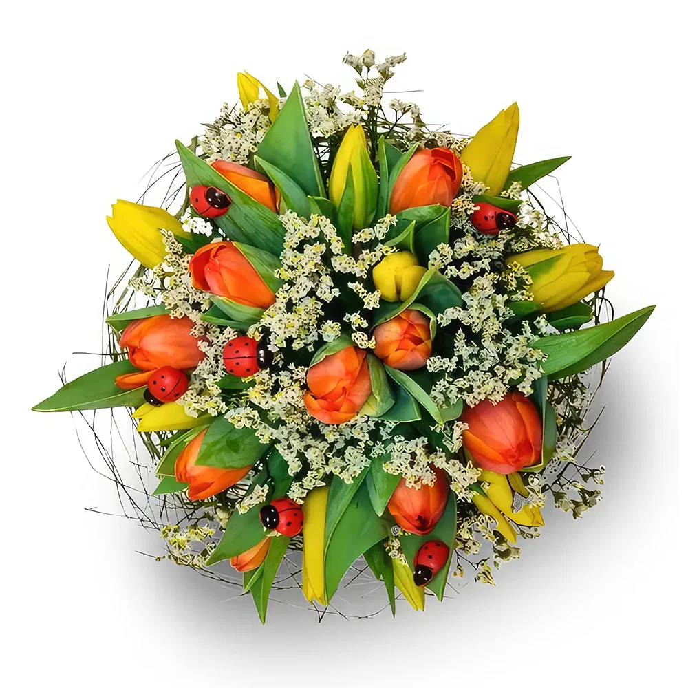 flores de Suíça- rainha da primavera