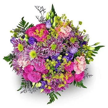 Switzerland flowers  -  Pink Zebra Flower Delivery