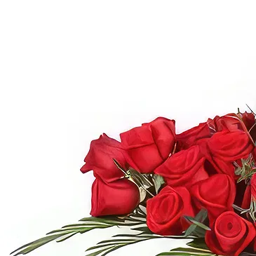 Garhoud flowers  -  Red Roses Butterfly Bliss Box Flower Bouquet/Arrangement