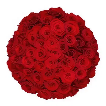 Holland flowers  -  50 red roses | Florist Flower Delivery