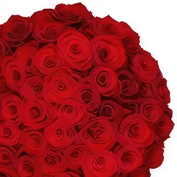 Amsterdam-Zuidoost flowers  -  50 red roses | Florist Flower Bouquet/Arrangement