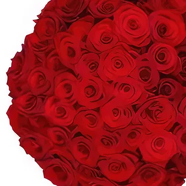Amsterdam-Zuidoost flowers  -  50 red roses | Florist Flower Bouquet/Arrangement