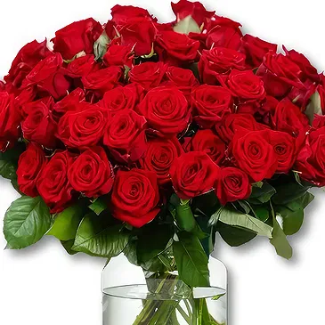 Maastricht Blumen Florist- 50 Premium rote Rosen - Red Naomi | Züchter Bouquet/Blumenschmuck