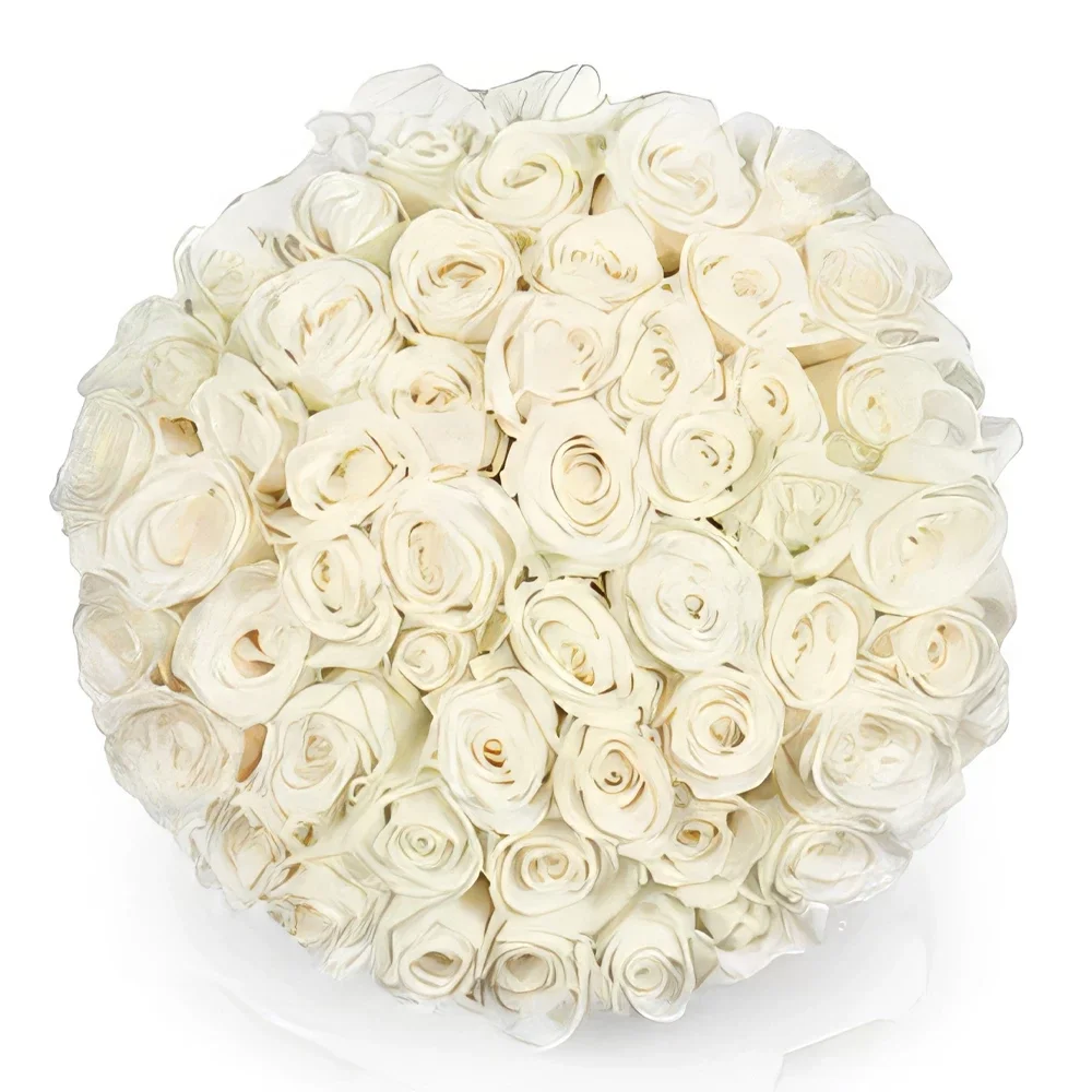 flores de Roterdã- 50 rosas brancas | Florista Bouquet/arranjo de flor