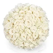 Amsterdam-Zuidoost online Florist - 50 white roses | Florist Bouquet