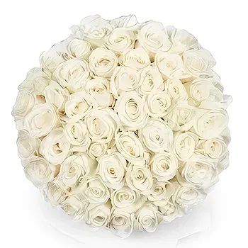 Holland flowers  -  50 white roses | Florist Flower Delivery