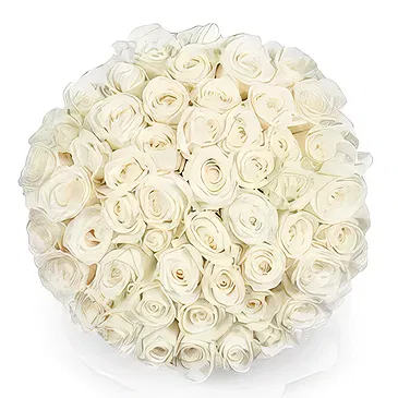 Amsterdam-Zuidoost flowers  -  50 white roses | Florist Flower Bouquet/Arrangement