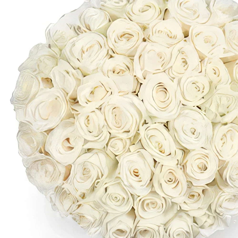 Eindhoven blomster- 50 hvite roser | Blomsterhandler Blomsterarrangementer bukett