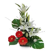 Granada Online kvetinárstvo - Žiarivý Gerbera Grove Kytica