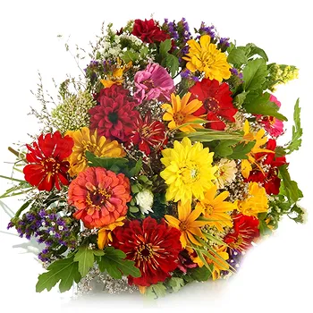 San Marino flowers  -  Bouquet of colorful daisies Flower Delivery