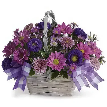 New Zealand flowers  -  A basket of beauty Flower Delivery