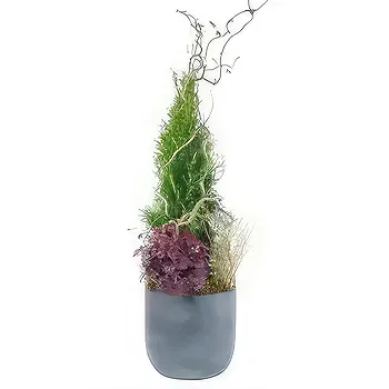 France flowers  -  Abies height plant mourning composition Flower Delivery
