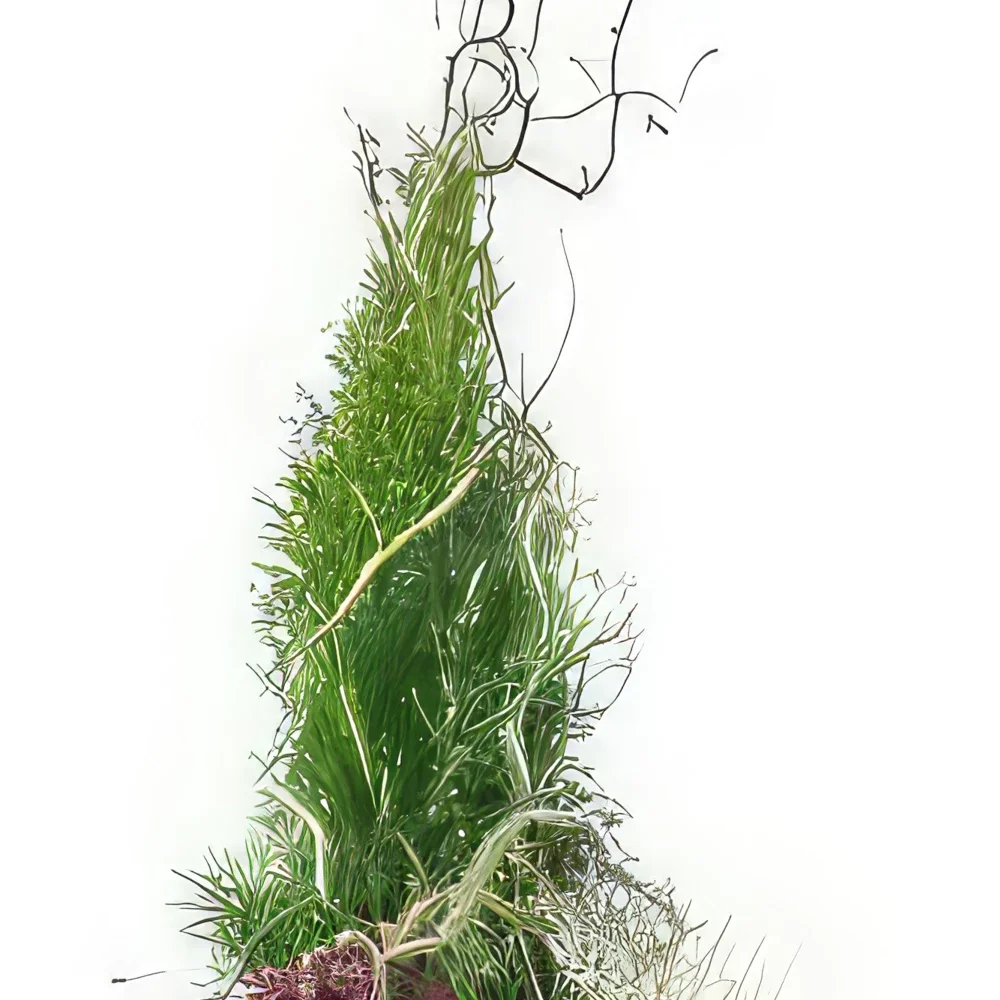Στρασβούργο λουλούδια- Σύνθεση πένθους φυτού Abies height Μπουκέτο/ρύθμιση λουλουδιών