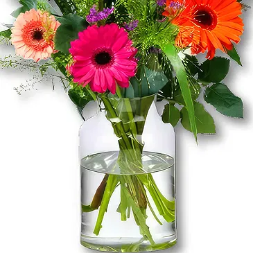 Holland flowers  -  Field Bouquet Adina Flower Bouquet/Arrangement