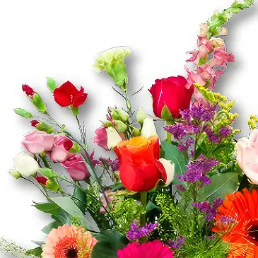 Holland flowers  -  Field Bouquet Adina Flower Bouquet/Arrangement
