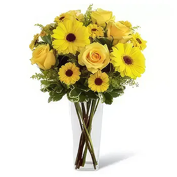 Madrid flowers  -  Affection Flower Delivery