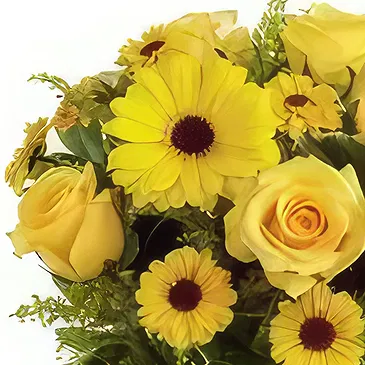 Delhi blommor- Tillgivenhet Bukett/blomsterarrangemang