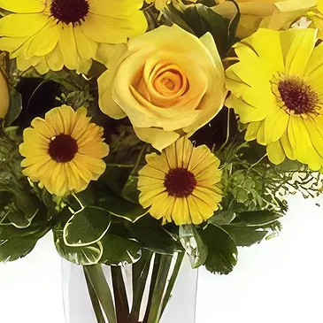 Delhi blommor- Tillgivenhet Bukett/blomsterarrangemang