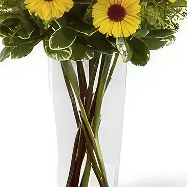 Delhi blommor- Tillgivenhet Bukett/blomsterarrangemang