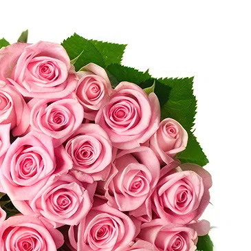 Santi Angeli Blumen Florist- Ein Strauß rosa Rosen Bouquet/Blumenschmuck