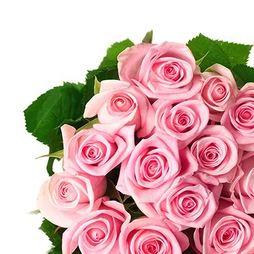 Santi Angeli Blumen Florist- Ein Strauß rosa Rosen Bouquet/Blumenschmuck