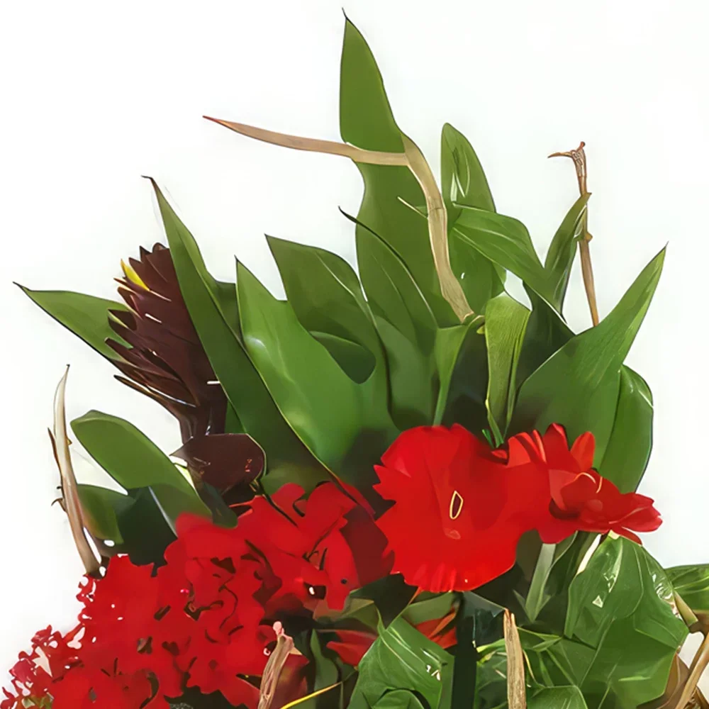 Tarbes цветя- Кошница с растения Анто Градинарят Букет/договореност цвете