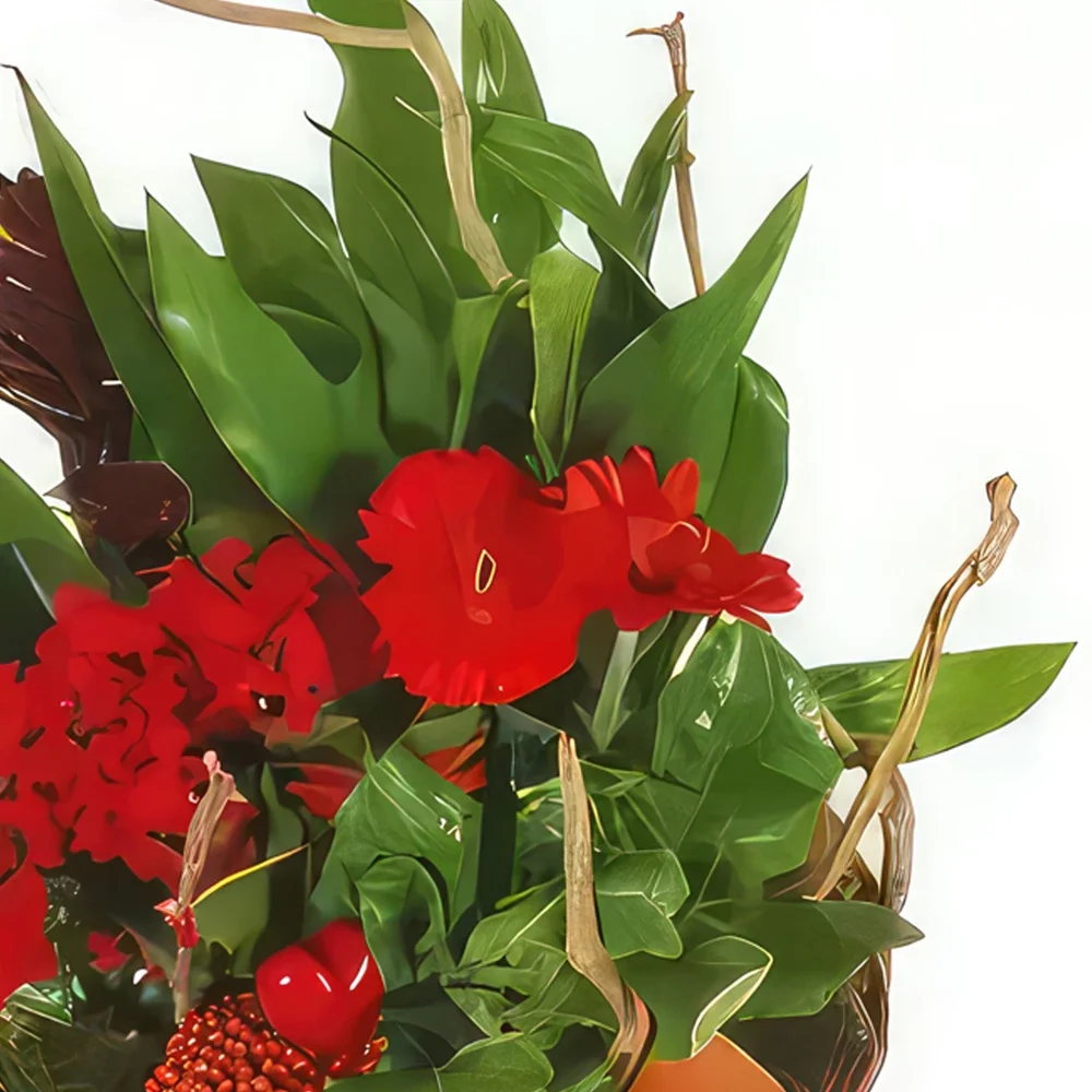 Тарб цветы- Корзина с растениями Antho the Gardener Цветочный букет/композиция