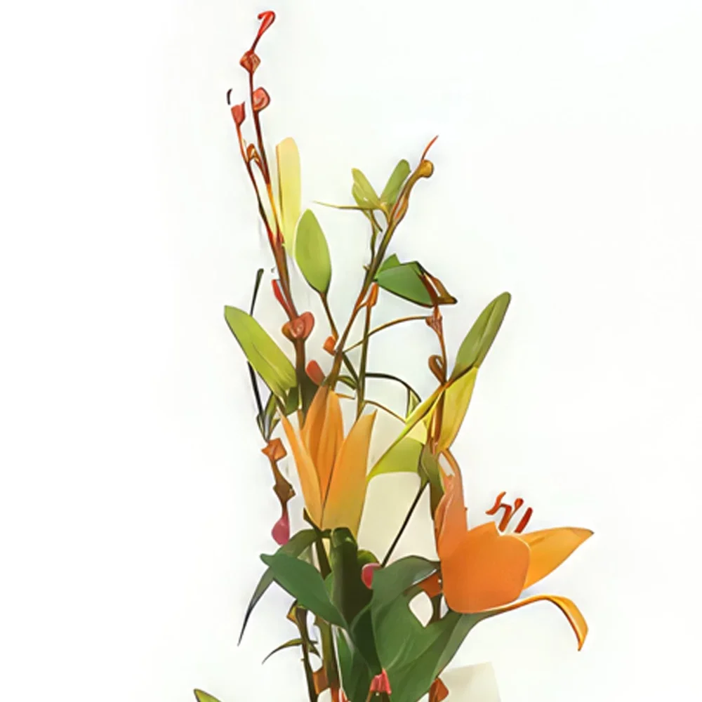 flores Marsella floristeria -  Arreglo floral de albaricoque Ramo de flores/arreglo floral