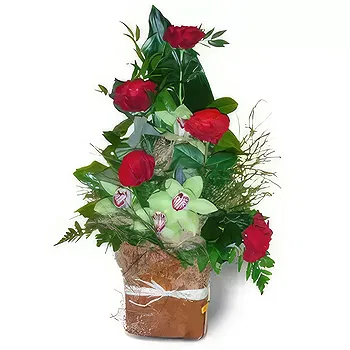 Poland flowers  -  Luxury Box Flower Delivery