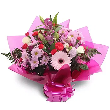 Antias flowers  -  Grandeur Flower Delivery