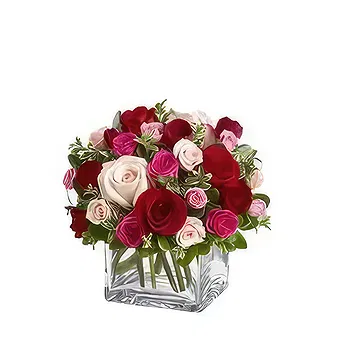Saudi Arabia flowers  -  24 Mixed roses Flower Delivery