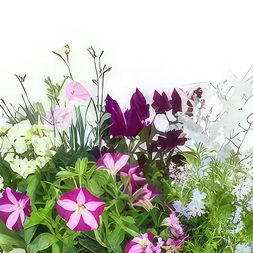 fiorista fiori di Laval- Assemblaggio di piante di Rosea rosa e viola Bouquet floreale