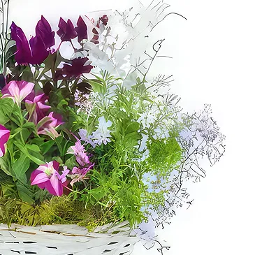 fiorista fiori di Laval- Assemblaggio di piante di Rosea rosa e viola Bouquet floreale