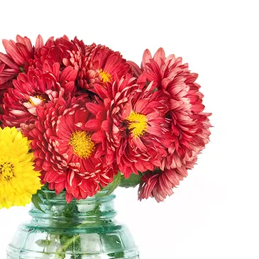Termini flowers  -  Bunch of chrysanthemums Flower Bouquet/Arrangement