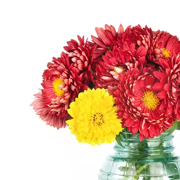 Termini flowers  -  Bunch of chrysanthemums Flower Bouquet/Arrangement