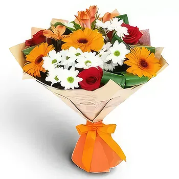 Kravino flowers  -  Freedom Flowers Delivery