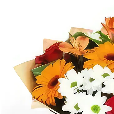 Aleko Konstantinovo blomster- Frihedsblomster Blomst buket/Arrangement