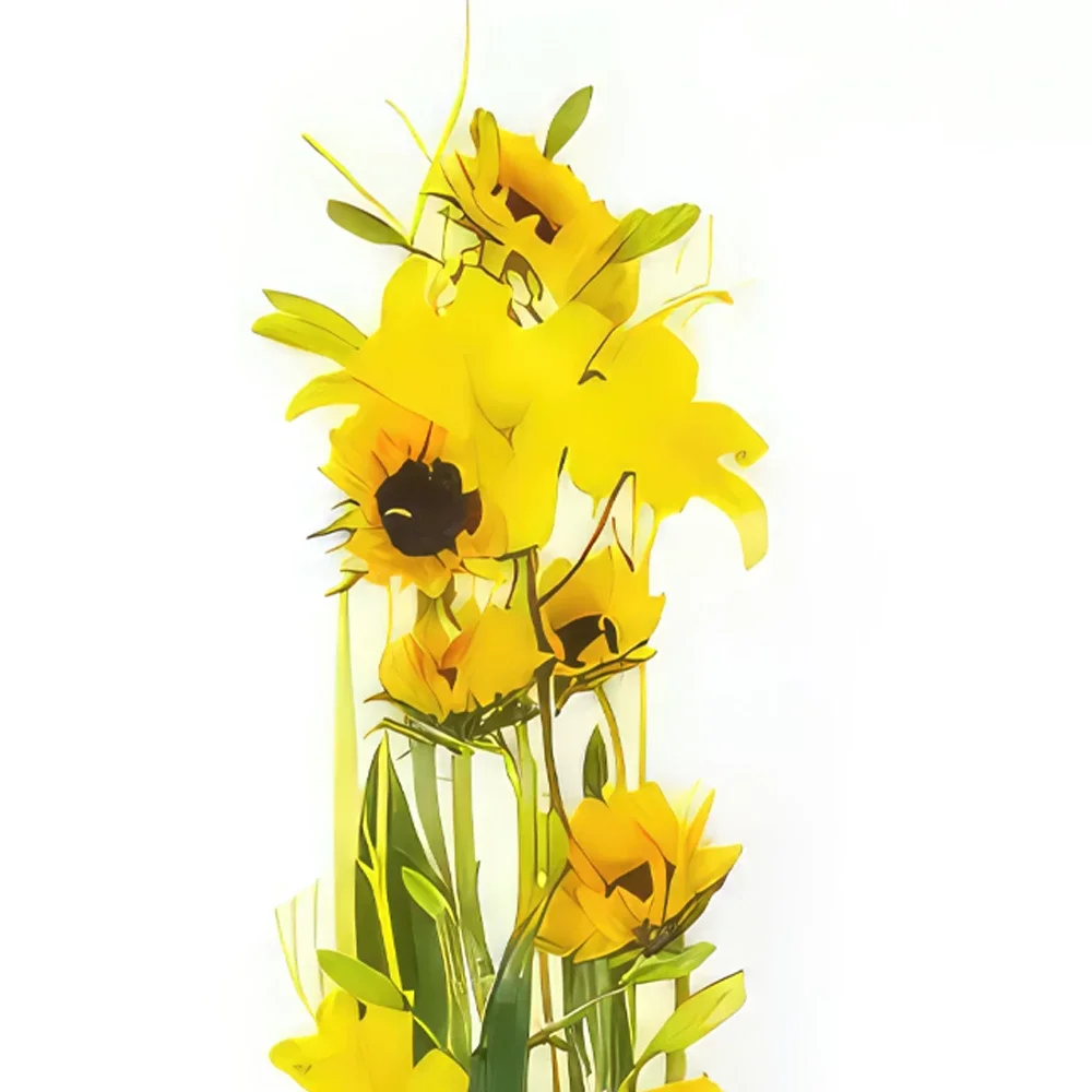 Στρασβούργο λουλούδια- Ισορροπία σύνθεσης λουλουδιών Μπουκέτο/ρύθμιση λουλουδιών