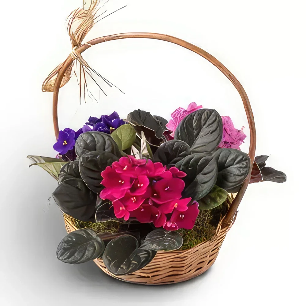 Belem bunga- Keranjang dengan 3 Vas Violet Rangkaian bunga karangan bunga