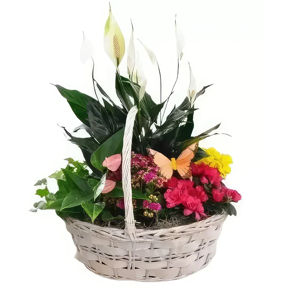 Sotogrande Blumen Florist- Bunter Korb Bouquet/Blumenschmuck