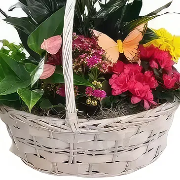 Cala Llonga flowers  -  Colorful Basket  Flower Bouquet/Arrangement