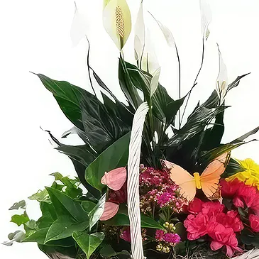Cala Llonga flowers  -  Colorful Basket  Flower Bouquet/Arrangement