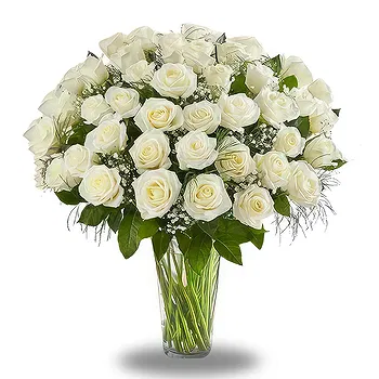Serbia flowers  -  White Glow Flower Delivery