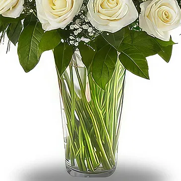Smederevska Palanka flowers  -  White Glow Flower Bouquet/Arrangement