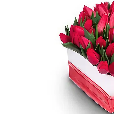 Douglas Blumen Florist- Rosa Kiste Bouquet/Blumenschmuck