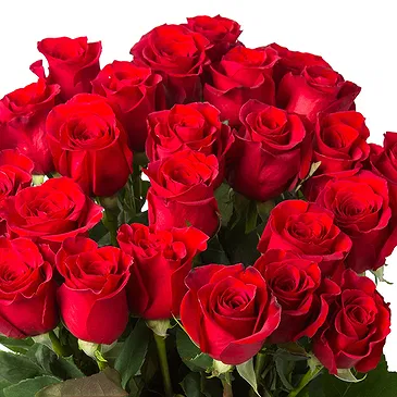 Oman flowers  -  20 Red Roses Flower Bouquet/Arrangement